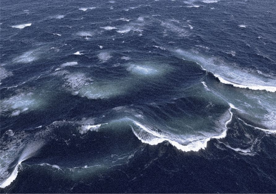 https://www.internationaldays.org/november/world-fisheries-day