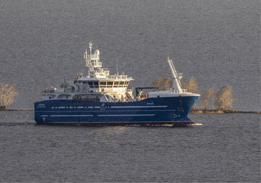 severnaya-verf-peredala-zakazchiku-yarusolov-marlin